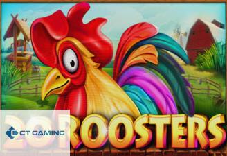 20 Roosters